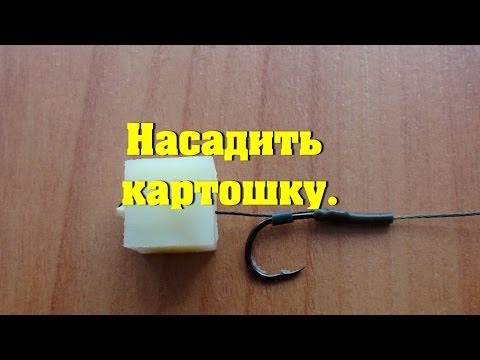 Насадка варенный картофель. Как насадить картошку для рыбалки.