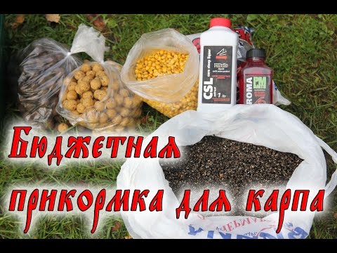 ПРИКОРМКА ДЛЯ КАРПА. Дешевый, рабочий рецепт!