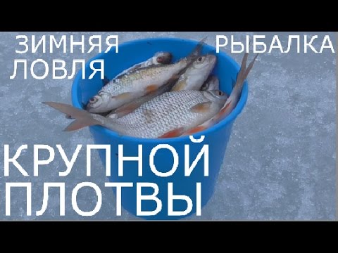 Зимняя рыбалка.Ловля крупной плотвы на Яузском водохранилище