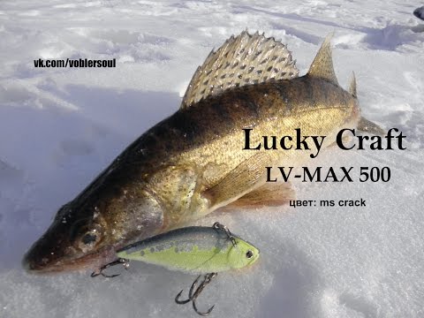 Ловля на ратлин зимой. Судак на LV-MAX 500 от Lucky Craft.