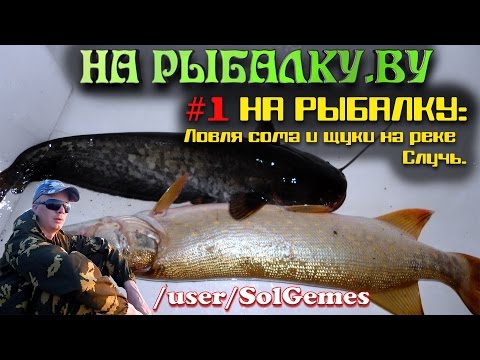 #1 На рыбалку. Ловля сома и щуки на реке Случь.