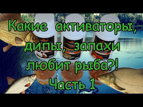 Какие активаторы, дипы, запахи любит рыба. Часть 1