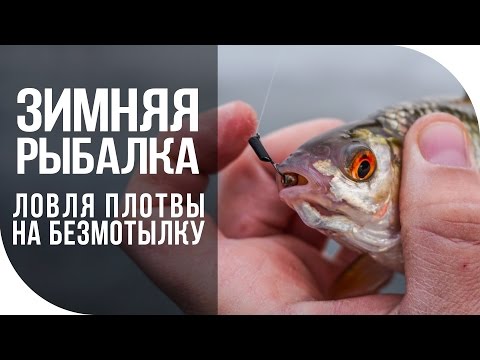 Зимняя рыбалка. Ловля плотвы на безмотылку. [FishMasta.ru]