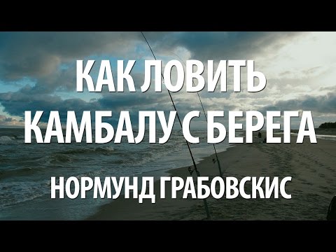 МОРСКАЯ РЫБАЛКА на РЫБУ КАМБАЛУ с БЕРЕГА на БАЛТИЙСКОМ МОРЕ ОСЕНЬЮ с НОРМУНДОМ ГРАБОВСКИСОМ