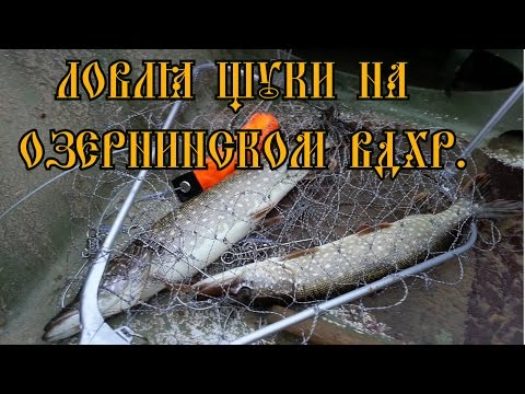 Рыбалка на Озернинском вдх. (спиннинг, джиг)