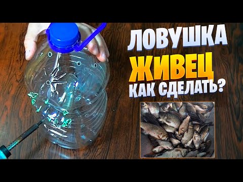 Ловушка для царь-рыбы