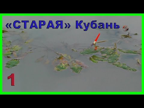 1.Старое русло реки Кубань. &quot;Старуха&quot;. Ловля на поплавочную удочку. Рыбалка. Fishing angeln la pesca