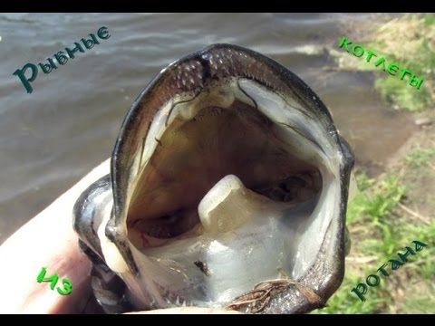 Рыбные котлеты из ротана(HD).