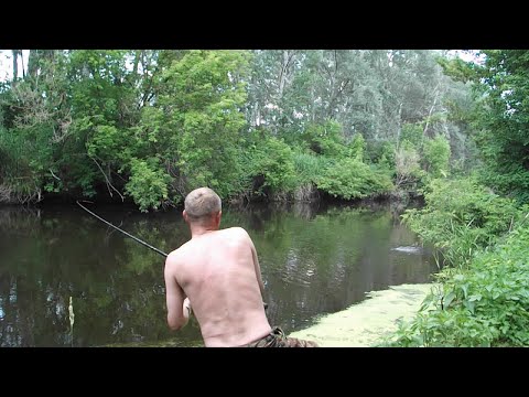 Ловля голавля на фидер. Река Уды. Fishing for Chub on the feeder.