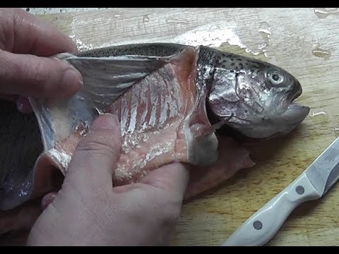 Как засолить красную рыбу Форель радужная