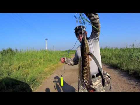 Ловля змееголова в малых озерах Узбекистана / Uzbekistan small lakes&#039; snakehead