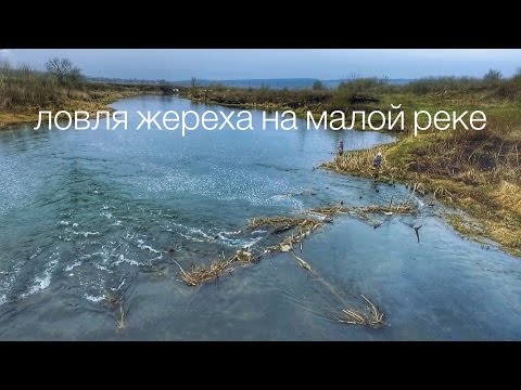 Ловля жереха на малой реке весной. Места, приманки и проводки.