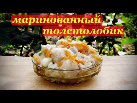 Маринованный толстолобик, рецепт рыбной закуски.