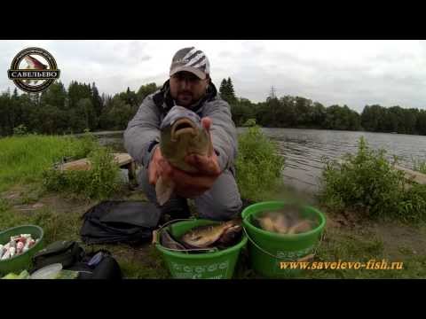 Рыбалка в Савельево. Фидер подробно. 29 июля 2013 год