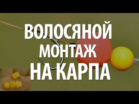 КАК СДЕЛАТЬ ВОЛОСЯНОЙ МОНТАЖ СНАСТИ для ЛОВЛИ КАРПА