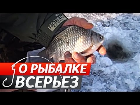 Зимняя ловля карася видео - советы и приемы