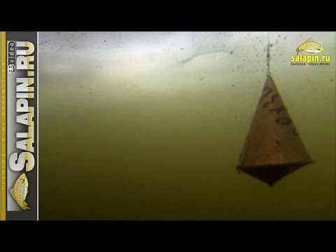 Реакция рыбы на докорм кормушкой и шарами (подводное видео, зимняя рыбалка) [salapinru]