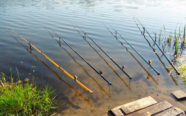 выбор поплавочной удочки для летней рыбалки