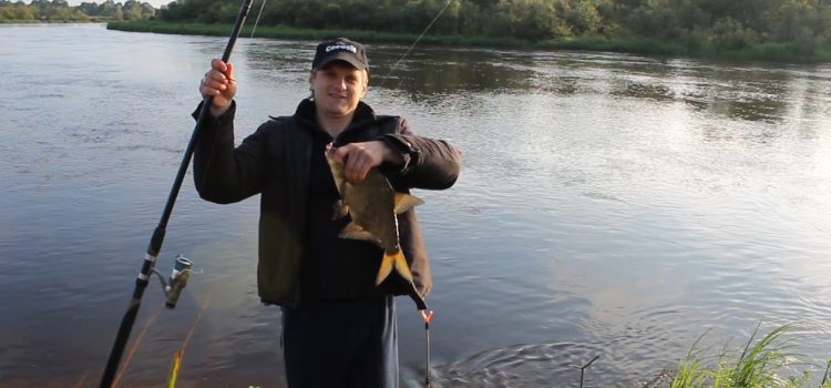 Как ловить рыбу на реке с течением