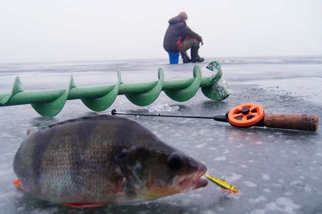 Зимняя рыбалка на балансир