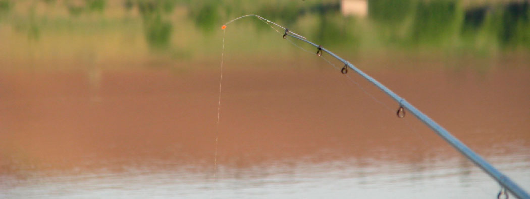 Летняя рыбалка на кивок с мормышкой - полезные советы и рекомендации
