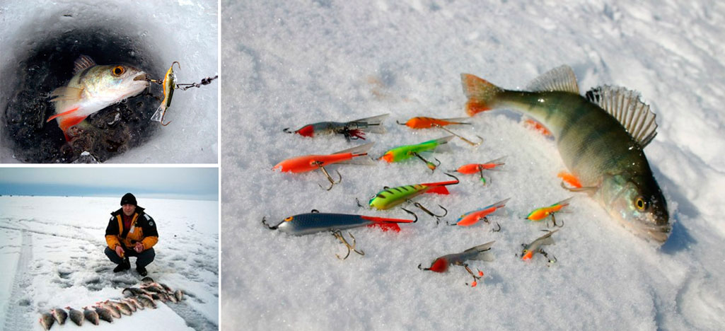 видео рыбалки окуня зимой