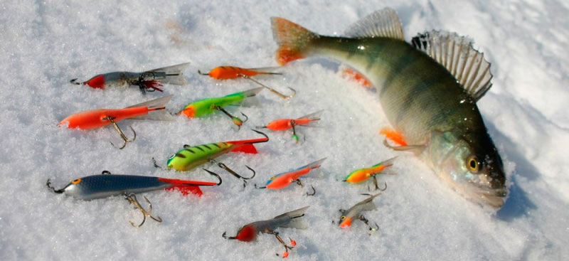 Секреты успешной зимней рыбалки на окуня с использованием мормышек