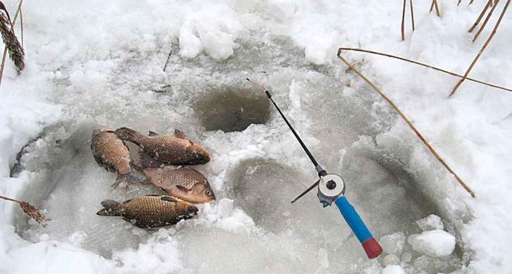 Зимняя рыбалка на карася: как ловить карася зимой (видео)