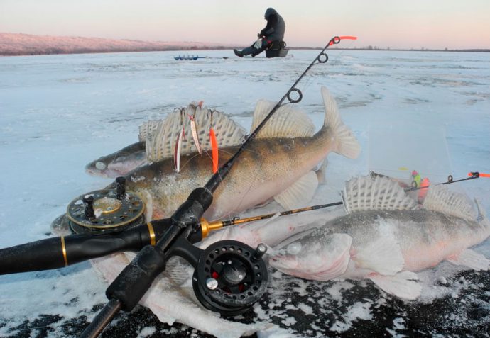 Прогноз клёва рыбы в городе Пермь