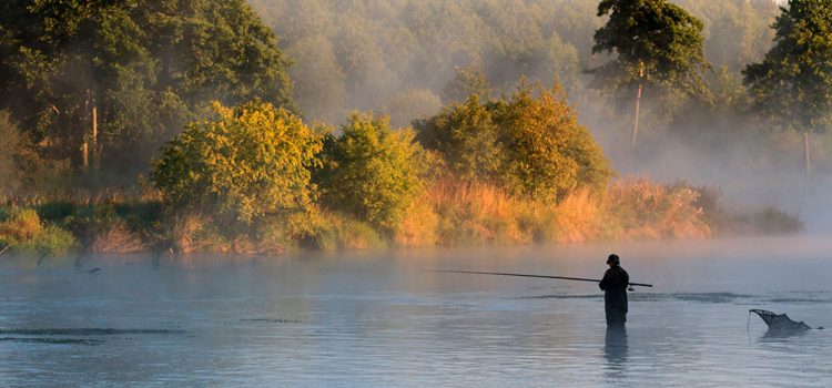 Рыбалка в Карелии дикарем: лучшие места и особенности, выбор озера