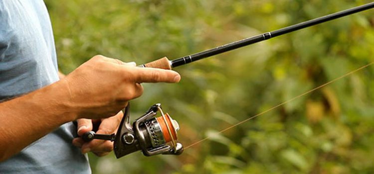 Рыбалка на спиннинг - где и как ловить, особенности спиннингов