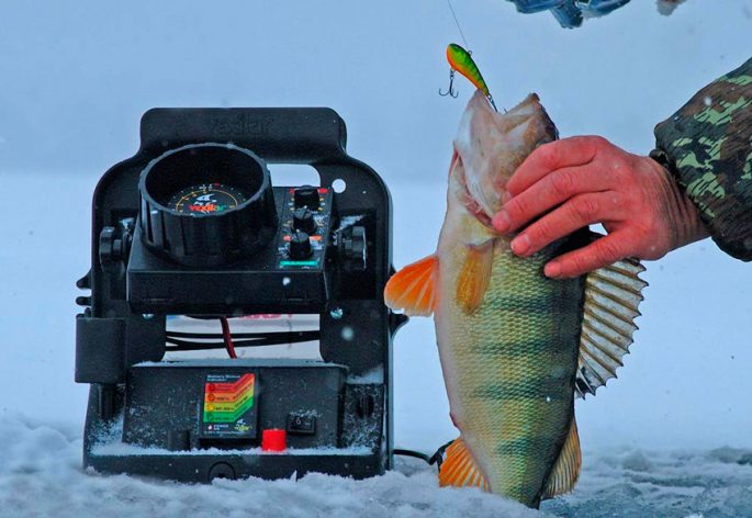 Эхолот для зимней рыбалки какой лучше - Ответы для новичков