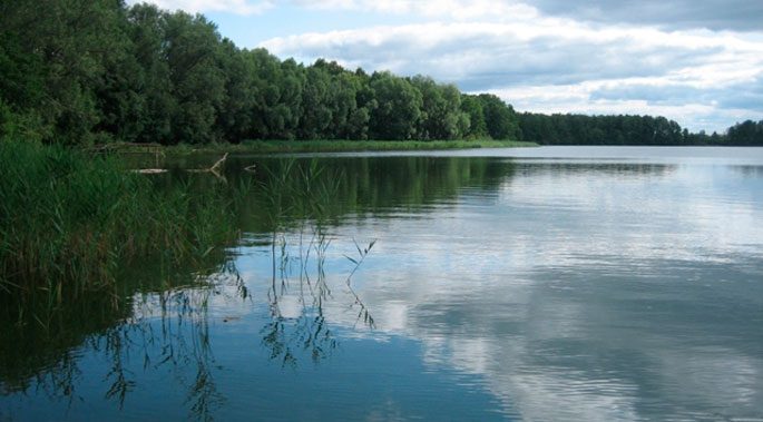 Рыбалка на озере Кувшинское