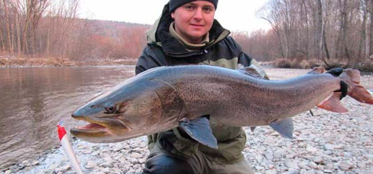 Рыбалка во Владивостоке