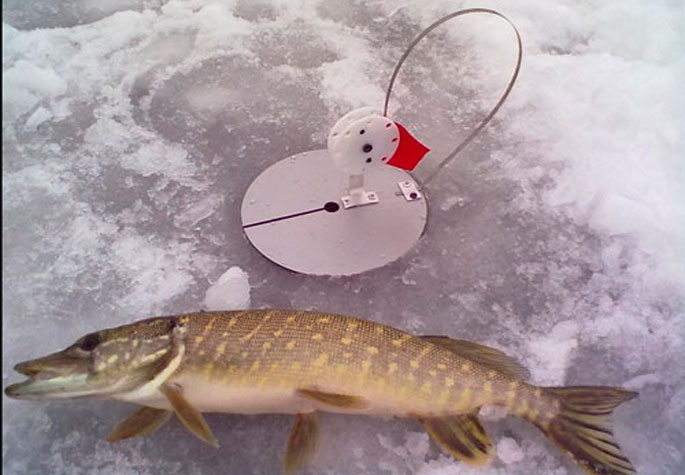 зимняя рыбалка на балансир жерлицу
