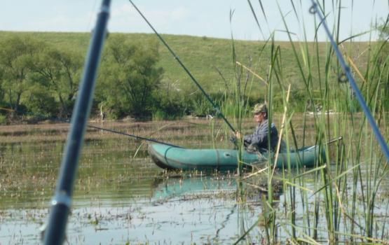 Рыбалка в Рубцовске и его окрестностях