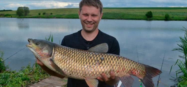 Рыбалка Белогорья: на реках Северный Донец и Оскол, Корочанском водохранилище, платных прудах