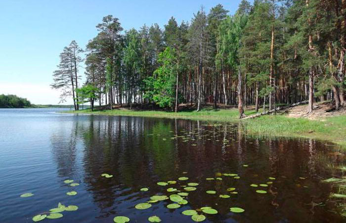 бесплатные озера для рыбалки нижегородской области