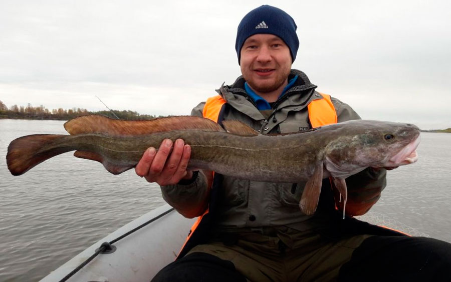 Зимняя рыбалка в Сибири: видео, советы, опыт