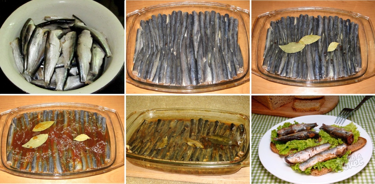 Рецепт шпрот в домашних условиях из салаки с фото пошагово