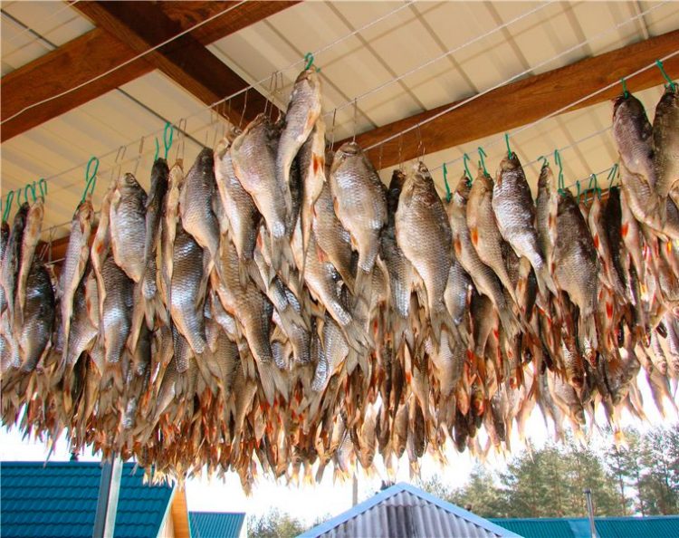 Как солить рыбу для сушки в домашних условиях: вкусные рецепты